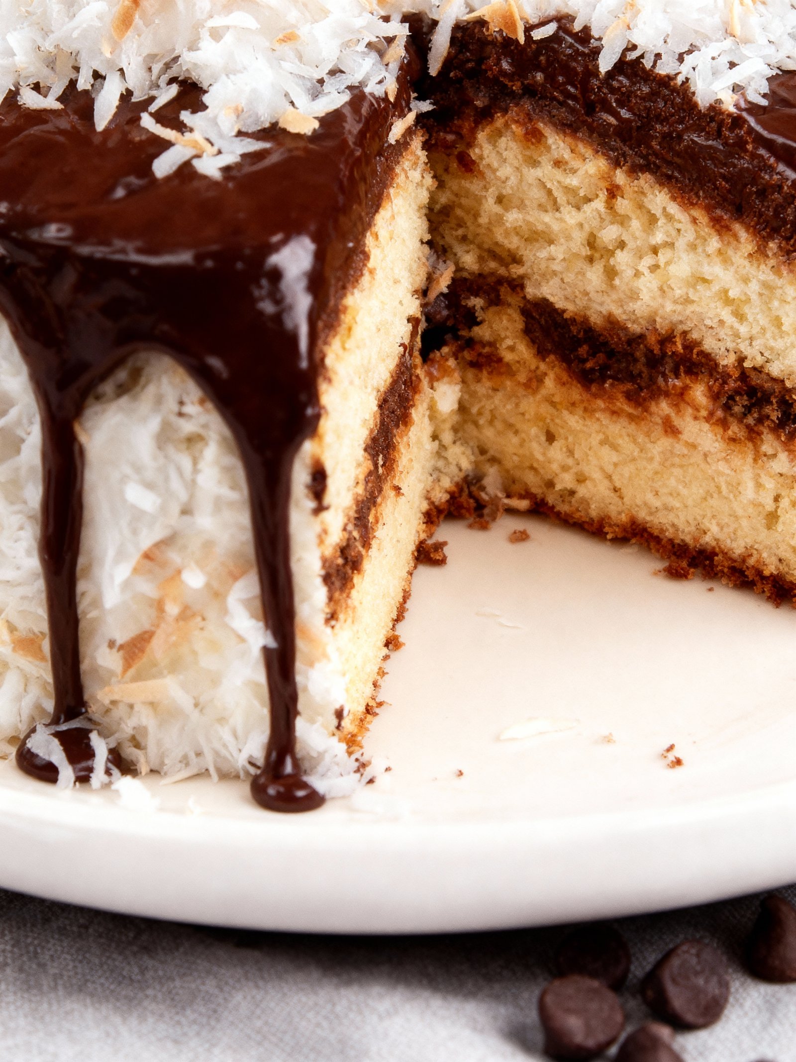 Chocolate Coconut Layer Cake finished