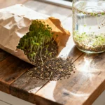 Broccoli Sprouting Seeds Recalled for Salmonella